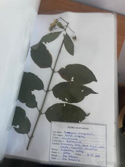 Herbár - 4