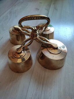 Zvonček stvorhlasny - 4