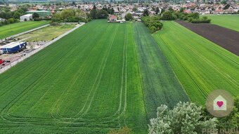 Veľký priestranný pozemok o rozlohe 7445 m2 s RD, Jelka - 4