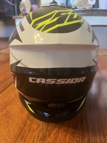 cassida - 4