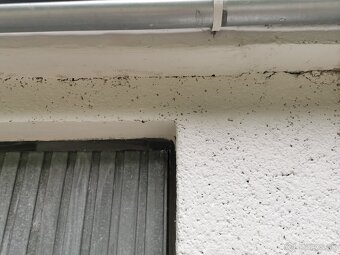 Pedám Garaž po rekonštrukcii pri Martimexe Tehelná ulica - 4