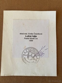 Obraz Lužné háje od ak. maliarky Emílie Čisárikovej - 4