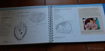 The Dog Anatomy Workbook - 4