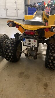 Can am ds 250 tp spz - 4