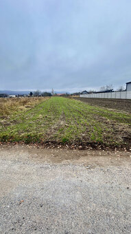 Dom a pozemok 2421m2 Investičná ponuka 95€/m2 pri Malackách - 4