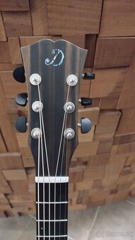 Dowina Sauvignon DE - Fishman el. - 4