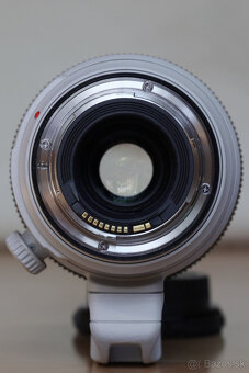 Canon EF 100-400mm f/4.5-5.6 L IS II USM - 4