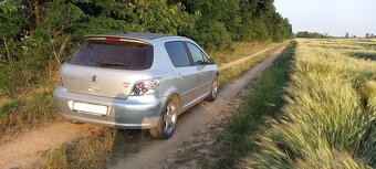 Peugeot 307. - 4