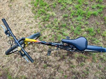 Lincoln berenica - 4