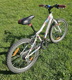 Detský bicykel 20 - 4
