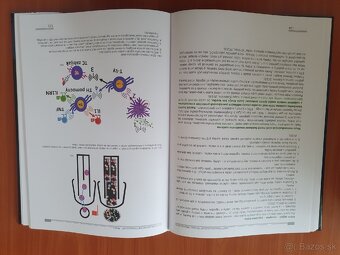 Parodontológia 6 - 4