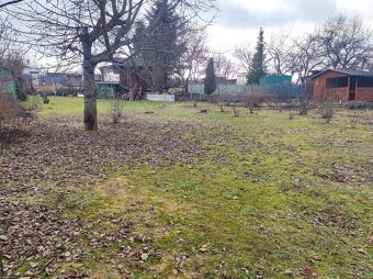 Predám záhradku SNV Mier - 4