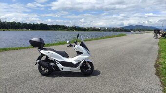 PCX - 4