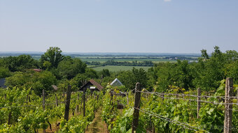 Predám dva vinohradnícke domy s pozemkami medzi vinohradmi p - 4