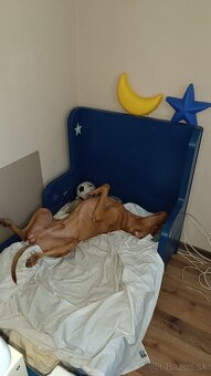 Trocha netradične ale... posteľ ako polech - 4