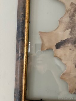 Obraz 83x57 latinský citát - 4