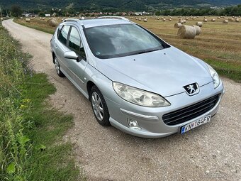 Peugeot 407 SW 1.6 HDi 2007 - 4