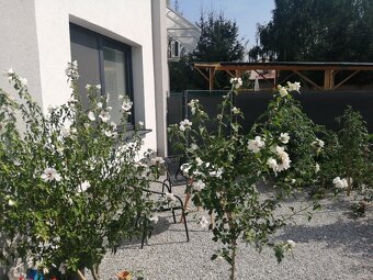 Predám 1 izb.byt - 4