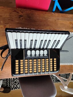 Predam Akordeon Delicia JUNIOR 72b XIV - 4