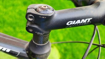 Giant roam - 4
