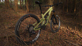 Canyon Torque 27.5 CF 9 (Big Bamboo) - 4