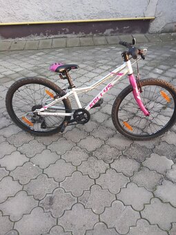 Kellys Kiter 24 - 4