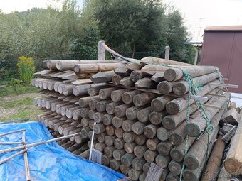 Talianske drevene koly z borovice impregnovane - 4