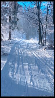 Štylovo zariadeny byt v Ski Makov - 4