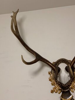 Jelenie Parožie - 4