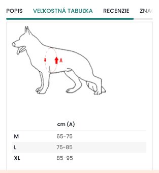 Postroj pre psa k9 thorn - 4