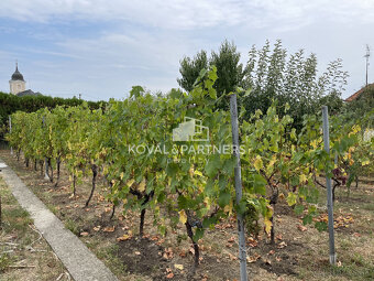 Rodinný dom v Nitrianskych Hrnčiarovciach - 4