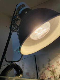 Vodná korytnačka - 4