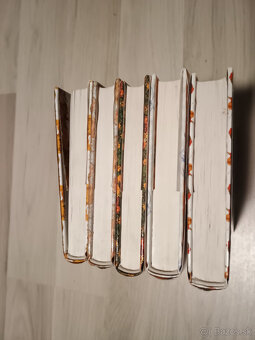 pentalógia Nežná Ruby - Virginia Andrewsová - 4