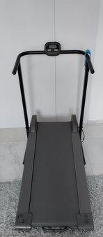 Chodiaci pas - 4