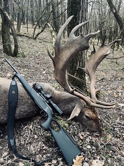 Sauer 505 Synchro Xt 30-06 - 4
