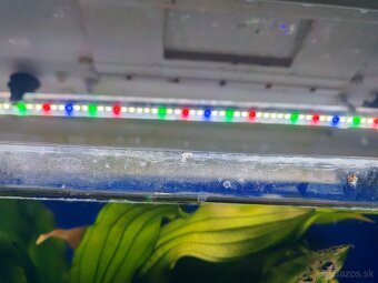 Predám akvarium - 4
