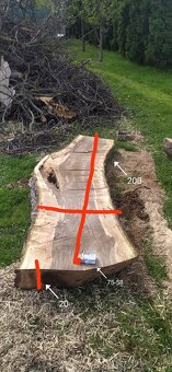 Orechové rezyvo - 4