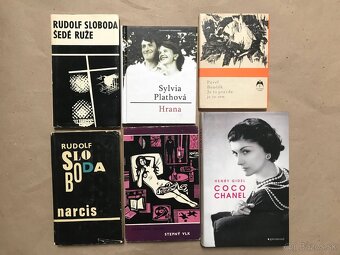 Sváko Ragan z Brezovej, Edgar Allan Poe: Havran, Vytie - 4