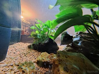 Akvárium juvel 125 - 4