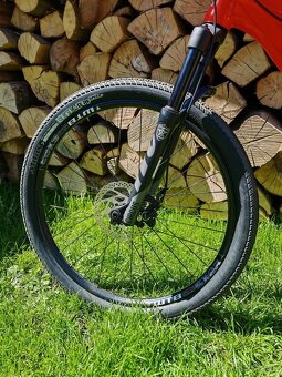 Befly ari pumptrack,dirt - 4