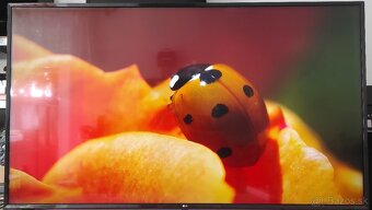 Predám 4KUHD SMART TV LG 65UJ6307 (165cm) - 4