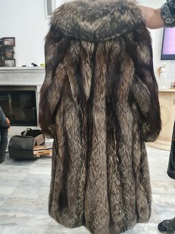 Strieborná liska - 4