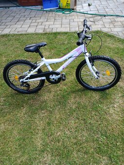 Detský bicykel 20 - 4