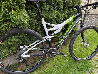 Predam Cannondale Scalpel - 4