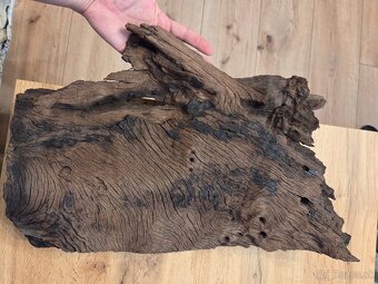 Koreň do akvária - 4