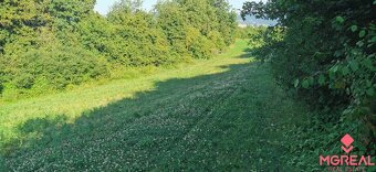 Rekreačný pozemok Nemšová - 4