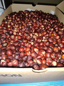 Sušené šípky - 4