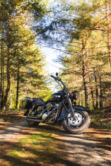 Kawasaki Vulcan 1600 Classic - 4