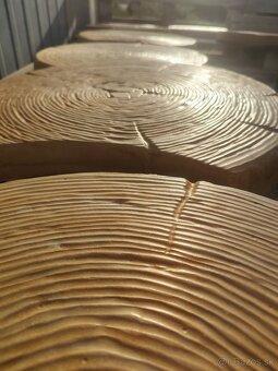 🌳 Betónová dlažba – imitácia dreveného pňa 🌳 - 4