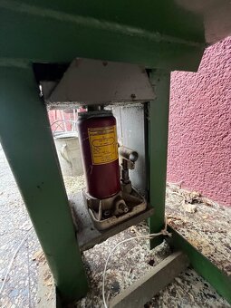 Lis na ovocie hrozno - 4